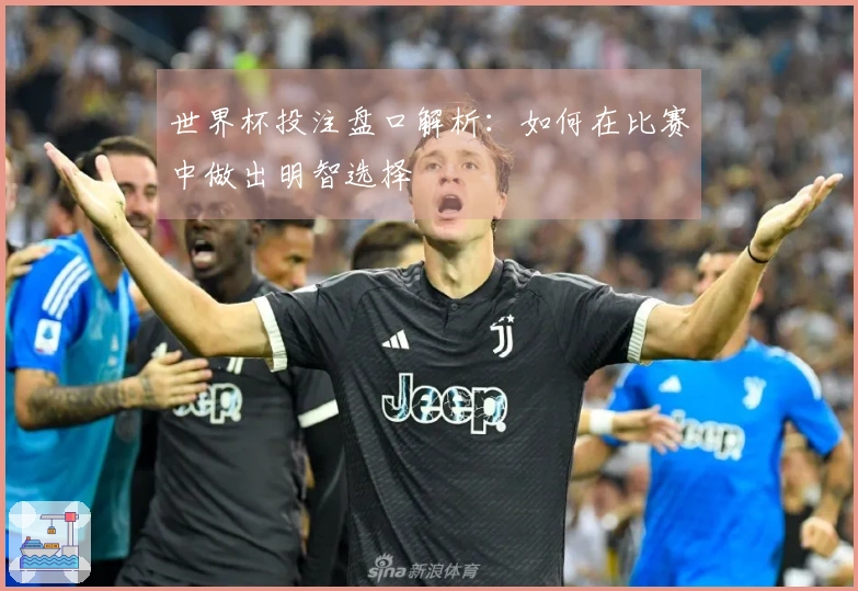 世界杯投注盘口解析：如何在比赛中做出明智选择