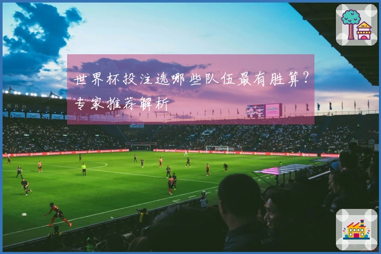 世界杯投注选哪些队伍最有胜算？专家推荐解析