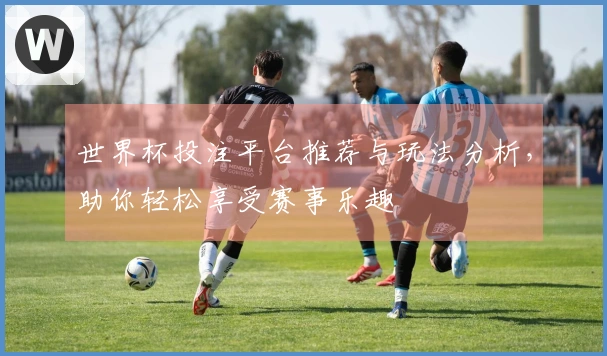世界杯投注平台推荐与玩法分析，助你轻松享受赛事乐趣