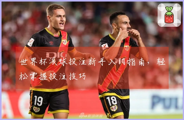 世界杯滚球投注新手入门指南，轻松掌握投注技巧