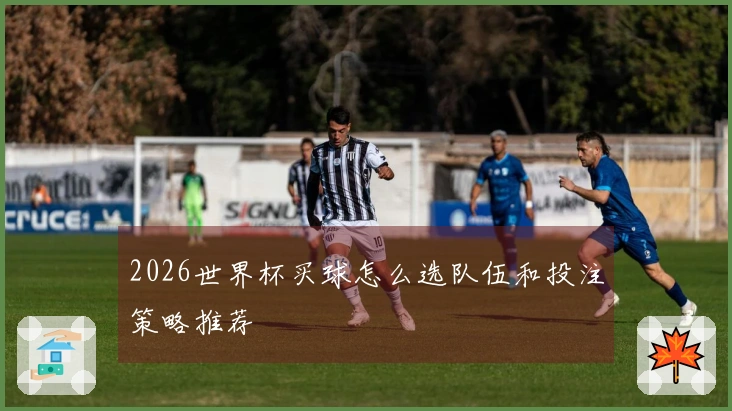 2026世界杯买球怎么选队伍和投注策略推荐