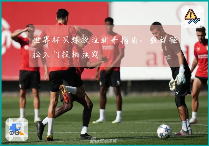 世界杯买球投注新手指南，教你轻松入门投机诀窍