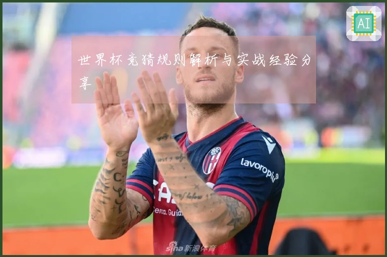 世界杯竞猜规则解析与实战经验分享