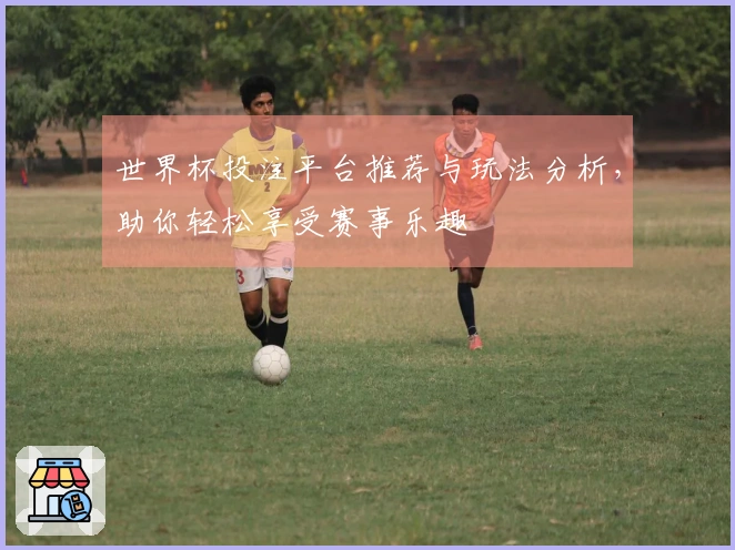 世界杯投注平台推荐与玩法分析，助你轻松享受赛事乐趣