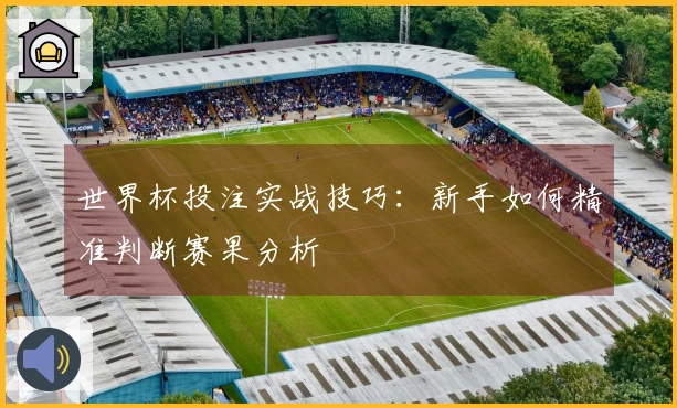 世界杯投注实战技巧：新手如何精准判断赛果分析