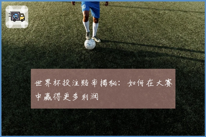 世界杯投注赔率揭秘：如何在大赛中赢得更多利润
