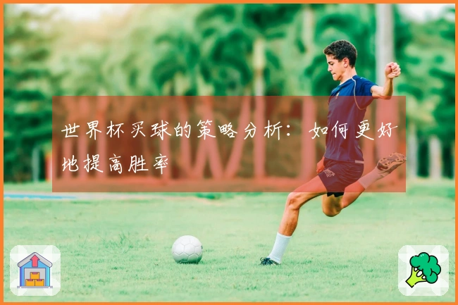 世界杯买球的策略分析：如何更好地提高胜率