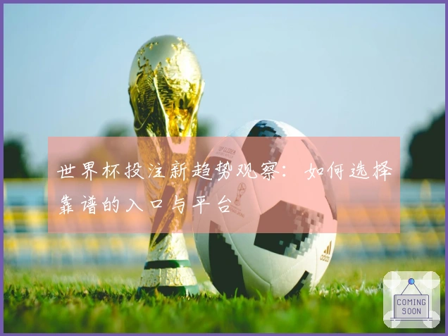 世界杯投注新趋势观察：如何选择靠谱的入口与平台